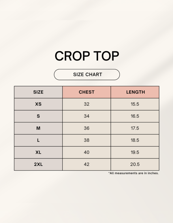 1745047541sizechart.png Crop Top
